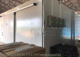 Thi công kho lạnh tại quận 8