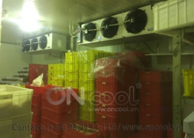 Thi công kho mát tại quận 3