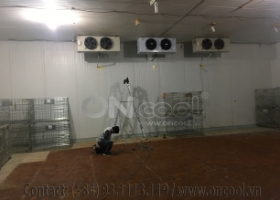 Thi công kho mát tại quận 7