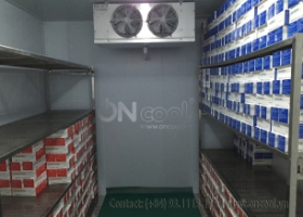 Thi công kho mát tại quận 5