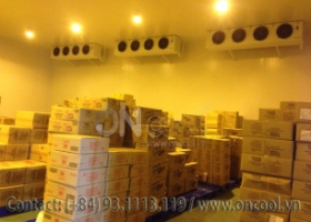 Thi công kho mát tại quận 8