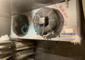 Thi công kho mát tại quận Tân Bình