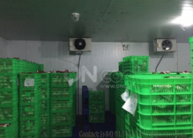 Thi công kho mát tại quận Gò Vấp