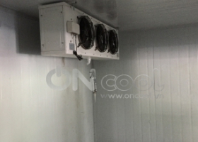 Thi công kho mát tại quận Tân Phú