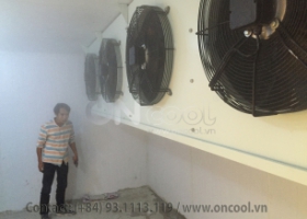 Chính sách bảo hành kho lạnh