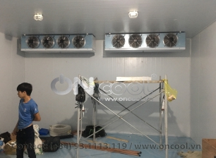 Thi công kho mát tại quận 2