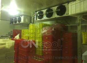 Thi công kho mát tại quận 3