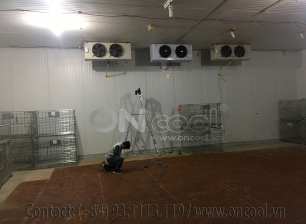 Thi công kho mát tại quận 7