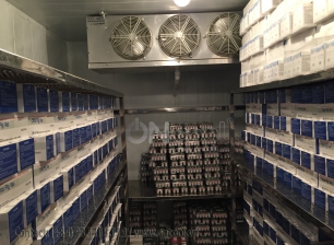 Thi công kho mát tại quận 4