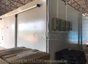 Thi công kho lạnh tại chợ nông sản Hóc Môn