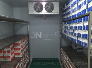 Thi công kho mát tại quận 5