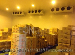 Thi công kho mát tại quận 8