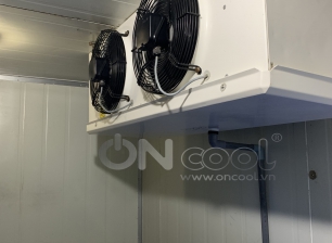 Thi công kho mát tại quận 6