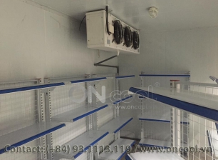 Thi công kho mát tại quận 10