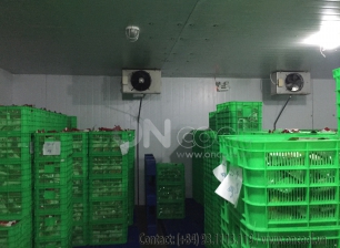 Thi công kho mát tại quận Gò Vấp