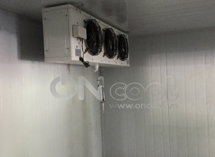 Thi công kho mát tại quận Tân Phú