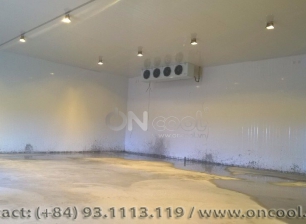 Thi công kho lạnh tại tỉnh Trà Vinh