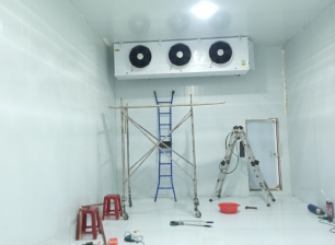 Thi công kho lạnh tại Bà Rịa - Vũng Tàu
